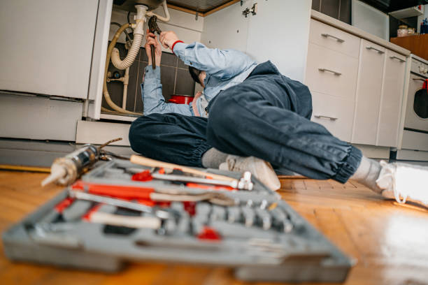 Best Plumbing Inspection Services  in Hampton, IA